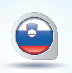 Flag of Slovenia vector illustration N7