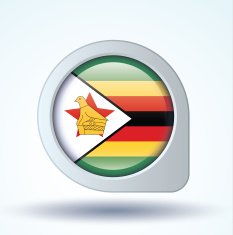 Flag of Zimbabwe vector illustration N8