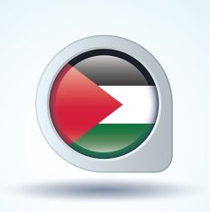 Flag of Palestine vector illustration N7
