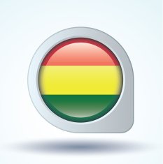 Flag of Bolivia vector illustration N8