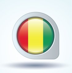 Flag of guinean vector illustration N8