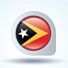 Flag of East Timor vector illustration N8