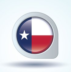 Flag of Texas vector illustration N5