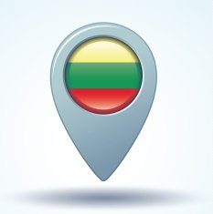 Flag of Lithuania vector illustration N8