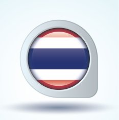 Flag of Haiti vector illustration N8
