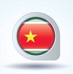 Flag of Guadeloupe vector illustration N8