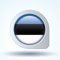 Flag of Estonia vector illustration N7