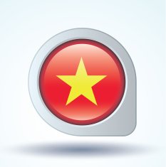 Flag of Vietnam vector illustration N7