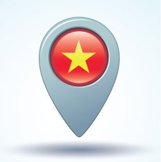 Flag of Vietnam vector illustration N8