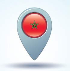 Flag of Morocco vector illustration N8