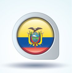 Flag of Ecuador vector illustration N7