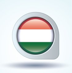 Flag of hungary vector illustration N8