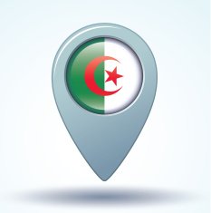 Flag of Algeria vector illustration N7