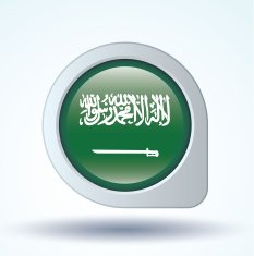 Flag of Saudi Arabia vector illustration N6