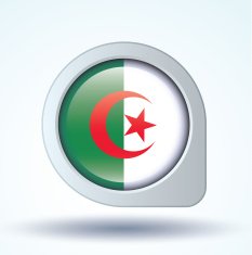 Flag of Algeria vector illustration N8