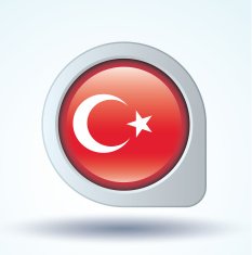 Flag of Turkey vector illustration N6