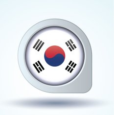 Flag of South korea vector illustration N7