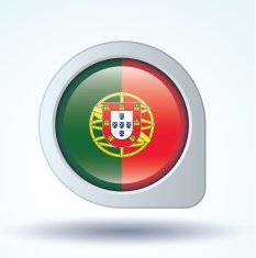 Flag of Portugal vector illustration N5