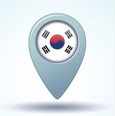 Flag of South korea vector illustration N8