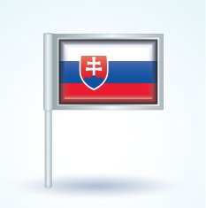 Flag of Slovakia vector illustration N9