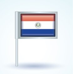 Flag of Paraguay vector illustration N9