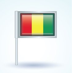 Flag of guinean vector illustration N9