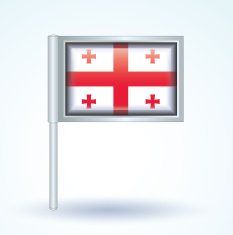 Flag of Georgia vector illustration N9