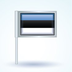 Flag of Estonia vector illustration N9