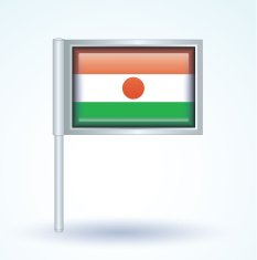 Flag of Republic niger vector illustration N8