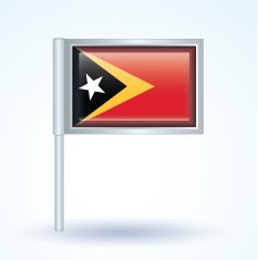 Flag of East Timor vector illustration N9