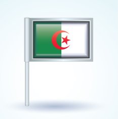 Flag of Algeria vector illustration N9