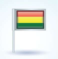 Flag of Bolivia vector illustration N9