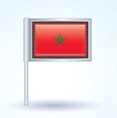 Flag of Morocco vector illustration N9