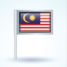 Flag of Malaysia vector illustration N6