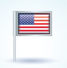 Flag of United states america vector illustration N7
