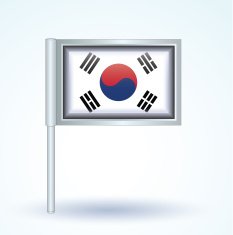 Flag of South korea vector illustration N9