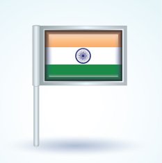 Flag of India vector illustration N9