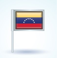 Flag of Venezuela vector illustration N9