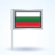 Flag of Bulgaria vector illustration N6