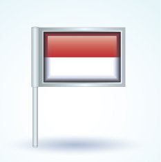 Flag of Indonesia vector illustration N6