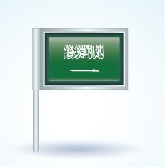 Flag of Saudi Arabia vector illustration N7