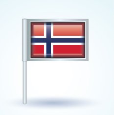 Flag of Norway vector illustration N9