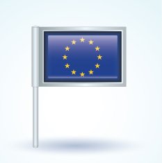 Flag of European union vector illustration N5