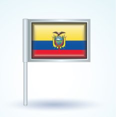 Flag of Ecuador vector illustration N8
