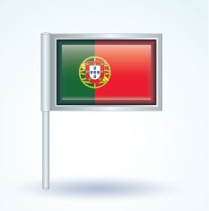 Flag of Portugal vector illustration N6