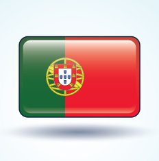 Flag of Portugal vector illustration N7