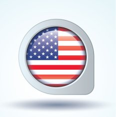 Flag of United states america vector illustration N8