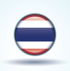 Flag of Thailand vector illustration N6