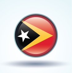 Flag of East Timor vector illustration N10