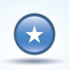 Flag of Somalia vector illustration N10
